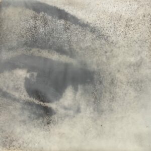 Eyeing scaled Tracy Casagrande Clancy Encaustic Mixed Media