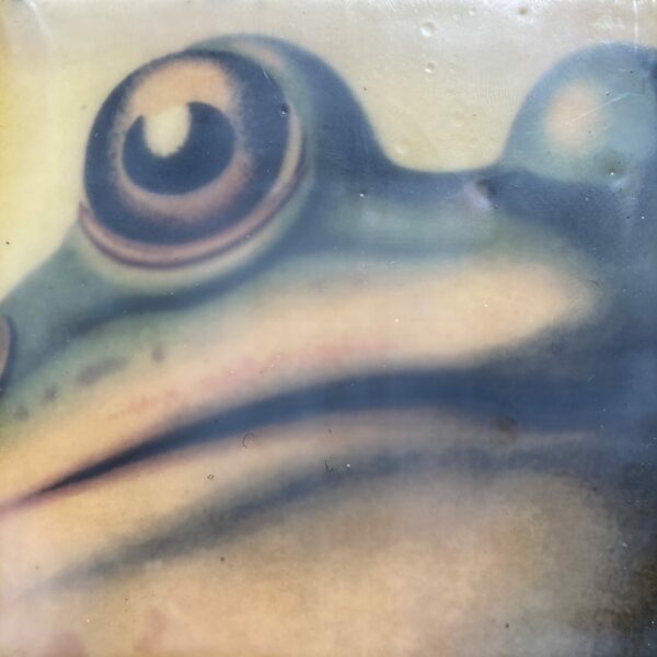 Frog scaled Tracy Casagrande Clancy Encaustic Mixed Media