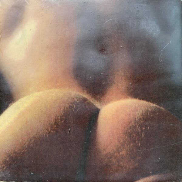 Hot Buns scaled Tracy Casagrande Clancy Encaustic Mixed Media